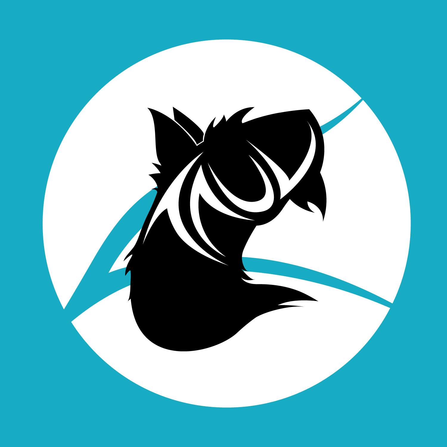 Carnegie Mellon University