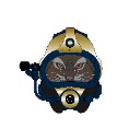 Montana State University