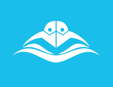 Embry-Riddle Aeronautical University