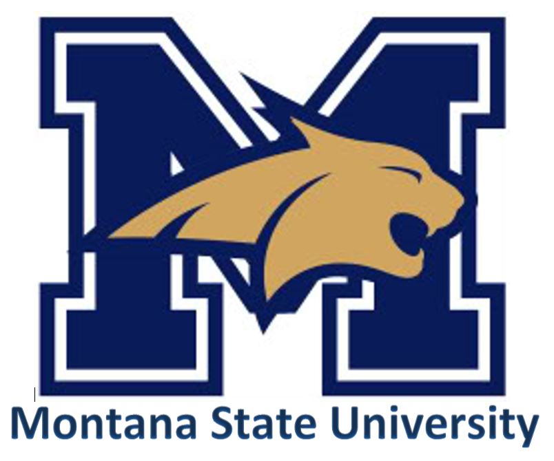 Montana State University