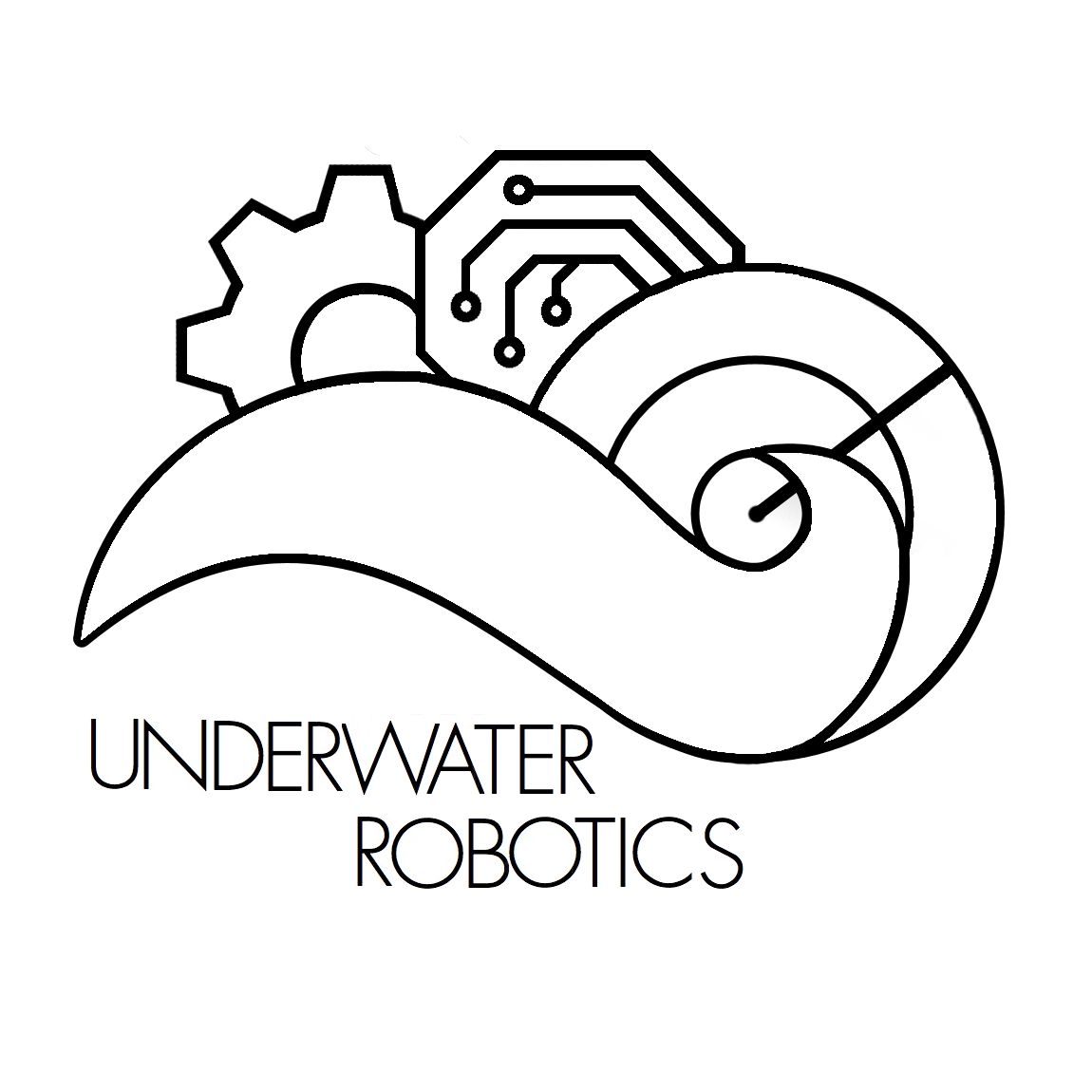 The Ohio State University